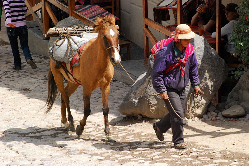 Laura i Astronom-200.JPG - Transport konny sprawdza się w górskiej okolicy -- Ollantaytambo. (Zdjęcie: Laura i Astronom)